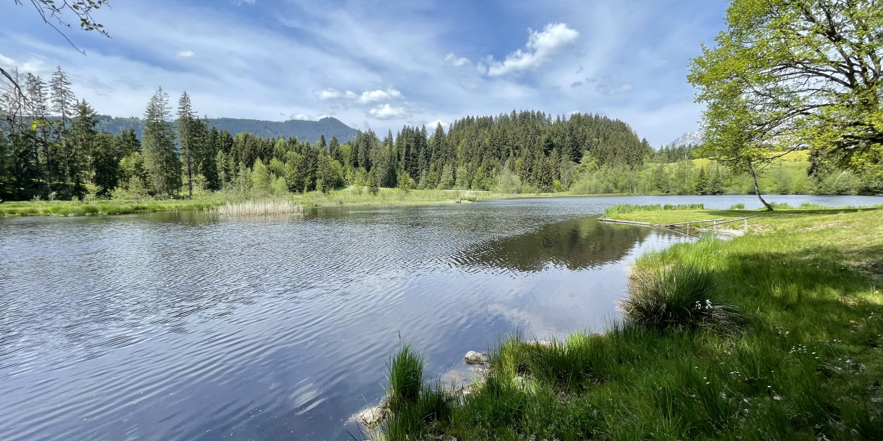 life live. the life.